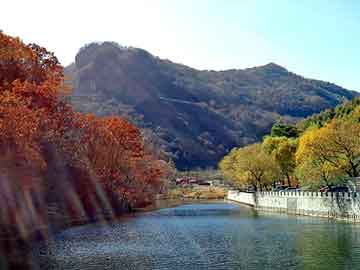 新澳门期期准精准，养牛前景